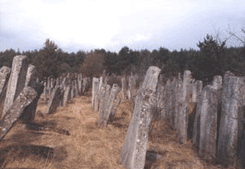 Jewish cemetery, 1995