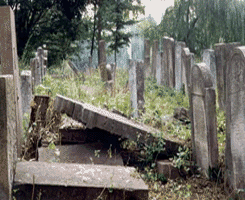 Jewish Cemetery, 1997
